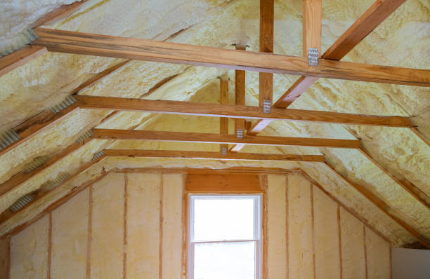 Best Residential Insulation in Celina, TX