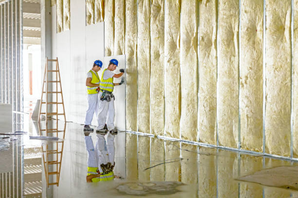 Best Types of Insulation in Celina, TX
